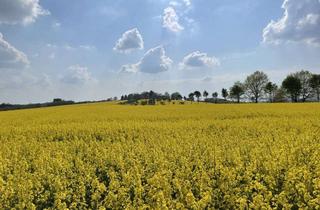 Wohnung mieten in Luisenlust, 63697 Hirzenhain, Historische 3-Zimmer-Maisonette (94 m²) mit Garten & Fernblick in Rhein-Main-Randlage bei Büdingen