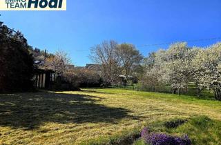 Wohnung mieten in 72475 Bitz, Tolle Wohnung mit Dachterrasse und Garten sucht neue Mieter auch Haustiere (Hunde und Katzen) sind h