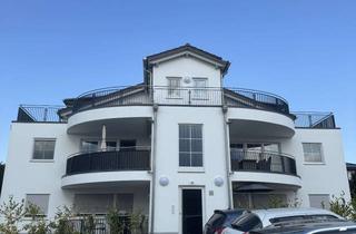 Wohnung mieten in 65604 Elz, Moderne Erdgeschosswohnung mit viel Licht - Elz