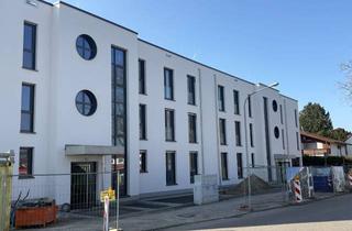 Wohnung mieten in Hans-Böckler-Straße 23, 64823 Groß-Umstadt, Erstbezug helle 2 ZKBB mit super EBK