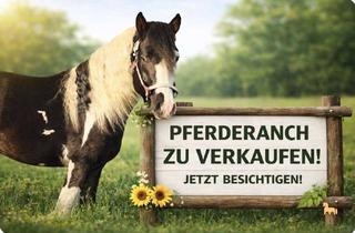 Haus kaufen in 49356 Diepholz, Pferderanch zu verkaufen