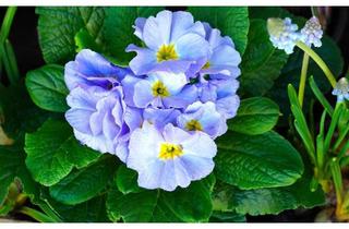 Haus kaufen in 58300 Wetter, Wie möchten Sie leben