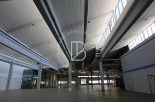 Gewerbeimmobilie kaufen in 64293 Darmstadt, "BAUMÜLLER AG" - ca. 1.300 qm Lagerfläche - KURZFRISTIG