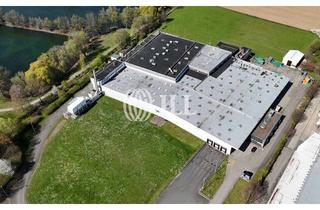 Gewerbeimmobilie kaufen in 31737 Rinteln, Multifunktionales Produktionsareal mit 3ha Freifläche