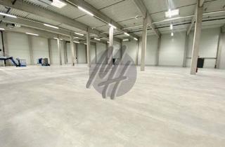 Büro zu mieten in 63571 Gelnhausen, SCHNELL VERFÜGBAR ✓ RAMPE + EBEN ✓ Lager (750 m²) & Büro-/Sozial (180 m²)