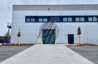 Büro zu mieten in 63505 Langenselbold, SCHNELL VERFÜGBAR ✓ RAMPE + EBEN ✓ Lager (750 m²) & Büro-/Sozial (180 m²)