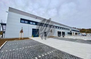Büro zu mieten in 63505 Langenselbold, SCHNELL VERFÜGBAR ✓ RAMPE + EBEN ✓ Lager (1.100 m²) & Büro-/Sozial (180 m²)