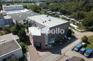 Büro zu mieten in 63477 Maintal, Alleinauftrag! | hochwertige Lager/Produktions- & Büro-/Sozialflächen | Klima | Solitärobjekt