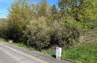 Grundstück zu kaufen in 97711 Maßbach, Bauplatz/Grundstück in Poppenlauer (aktuell bewachsen)