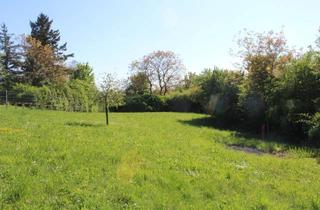 Grundstück zu kaufen in 76646 Bruchsal, Seltene Gelegenheit: Großzügiges Freizeitgrundstück mit ca. 3.670 m² in ruhiger Lage nahe Bruchsal