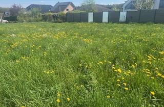 Grundstück zu kaufen in 53359 Rheinbach, Sonnige Grundstückslage - perfekt für Ihr neues Zuhause!