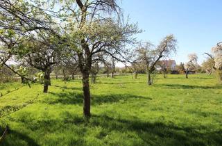 Grundstück zu kaufen in 89134 Blaustein, Großzügiges Baugrundstück in Blaustein-Bermaringen