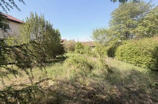 Grundstück zu kaufen in 74229 Oedheim, Attraktives 585 m² Baugrundstück in ruhiger, gewachsener Wohnlage von Oedheim