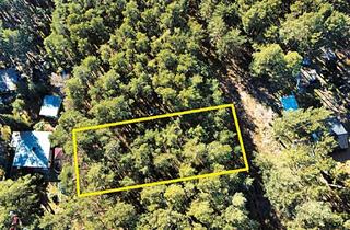 Immobilie kaufen in Flur 1, Fs 148, 14822 Borkwalde, Waldgrundstück mit angrenzender Nachbarbebauung in Borkwalde