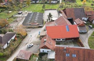 Immobilie kaufen in Hünstollenstraße 17, 37136 Waake, Großflächige Reitanlage in Waake zu verkaufen.