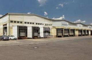 Geschäftslokal mieten in Kamenzerstraße 16, 04347 Leipzig, HALLEN.flächen im Gewerbegebiet Nord-Ost