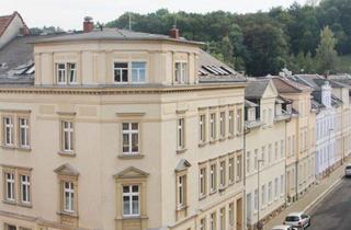 Wohnung mieten in Albertstraße, 04720 Döbeln, großzügige 2 Raum Wohnung im Zentrum