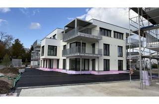Wohnung mieten in Abt-Berchtold-Str., 88427 Bad Schussenried, Erstbezug: Moderne 2,5-Zi-Wohnung mit Balkon im EG in Bad Schussenried