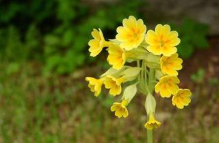 Haus kaufen in 58300 Wetter, Tolles Grundstück mit Südwestausrichtung