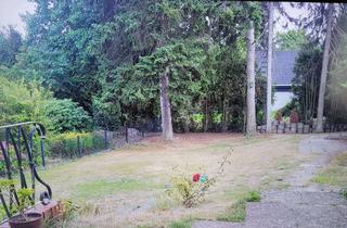 Haus mieten in 27305 Bruchhausen-Vilsen, Einfamilienhaus