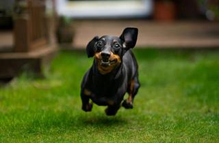 Haus mieten in 45549 Sprockhövel, Ohne Eigenkapital möglich. Mietkaufimmobilie abzugeben.