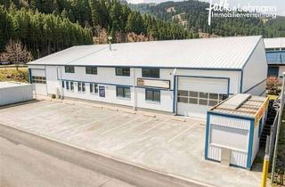 Gewerbeimmobilie kaufen in 77709 Wolfach, +++ Produktionshalle mit Betriebswohnung, teilbar, in bevorzugter Gewerbelage von Wolfach +++