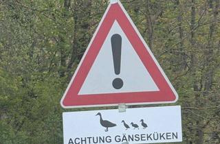 Wohnung mieten in 21360 Vögelsen, Erstbezug! Helle, großzügige 4-Zimmer-DG-Wohnung in Vögelsen