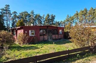 Haus kaufen in 29456 Hitzacker, Hitzacker (Elbe) - Mobilheim Tinyhaus Ferienhaus bei Hitzacker