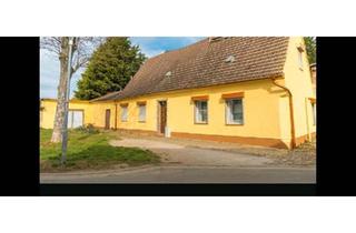 Einfamilienhaus kaufen in 39439 Güsten, Güsten - Attraktives Einfamilienhaus in 39439 Güsten - sofort bezugsfertig