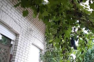 Einfamilienhaus kaufen in 34414 Warburg, Warburg - Einfamilienhaus