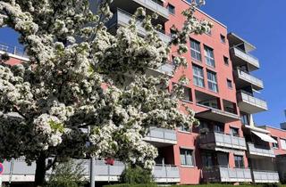 Wohnung kaufen in Felsennelkenanger 14, 80937 München, Sonnige 2-Zi.-Wohnung - Balkon - Weitblick – frei, Top-Lage München nahe MIRA & BMW