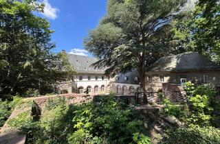 Wohnung kaufen in 69121 Neuenheim, Die Verschmelzung von Historie und Wohntraum