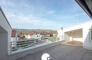 Wohnung mieten in 71384 Weinstadt, Zweitbezug: Neuwertige 3-Zimmer-Wohnung mit Dachterrasse