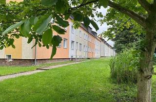 Wohnung mieten in Seehäuser Weg 91, 39387 Oschersleben, Bezugsfertige Singelwohnung im Seehäuser Weg