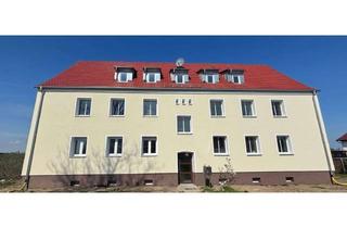 Wohnung mieten in Buschower Dorfstraße 22, 14715 Märkisch Luch, Erstbezug nach Sanierung - 1-Raumwohnung in Buschow