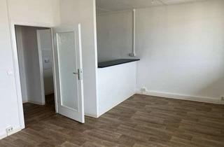 Wohnung mieten in Kastanienstraße, 07549 Lusan, Schöne Wohnung über den Dächern von Gera