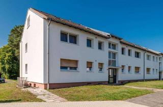 Wohnung mieten in Beckstraße, 29223 Celle, Moderne 3-Zimmer-Erdgeschosswohnung mit Balkon in ruhiger Wohnlage!