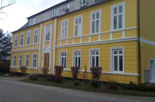 Wohnung mieten in Plüggentiner Str. 19-25, 18573 Samtens, 2 Zi Wohnung im Erdgeschoss mit EBK und eigenem und Terrasse in einem ehm. Gutshaus