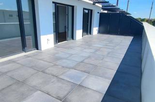 Penthouse mieten in Eichtalstraße 13, 38114 Braunschweig, Exklusives Penthouse im Neubau | Große Süd-Dachterrasse | Oker & Ringgleis vor der Tür | WE 41