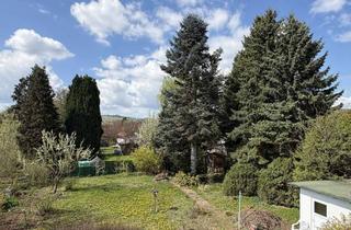 Doppelhaushälfte kaufen in 37133 Friedland, Doppelhaushälfte mit großem Grundstück und viel Potenzial in ruhiger Lage.