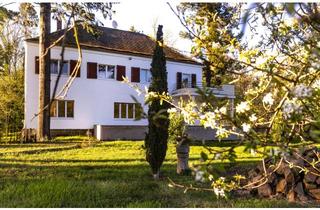 Villa kaufen in 04827 Machern, Architektenvilla der 1930er Jahre mit Baugrundstücken in Machern