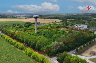 Grundstück zu kaufen in 39218 Schönebeck, Provisionsfrei Gewerbeareal 15.646 m² mit massivem Hochbunker und Landmark-Turm bei Magdeburg
