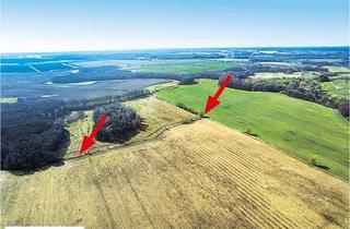 Grundstück zu kaufen in 18292 Kuchelmiß, Grundstücke in 18292 Kuchelmiẞ OT Serrahn