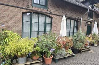Haus mieten in 50389 Wesseling, Berzdorf, saniertes Reihenhaus in Vierkanthofanlage, 4 Zimmer, ca. 122 m², große Terrasse