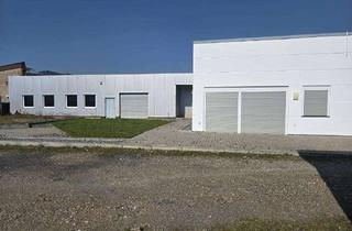 Gewerbeimmobilie kaufen in Heinrich-Hertz-Straße, 46325 Borken, Gewerbehallen mit Freifläche und Wohnung zu verkaufen