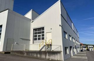 Gewerbeimmobilie mieten in 74930 Ittlingen, Gewerbefläche mit Industrie-Charme: Funktional, hell und sofort verfügbar!