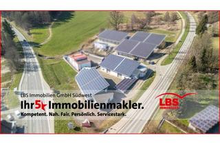 Büro zu mieten in 78357 Mühlingen, Zwei moderne und gepflegte Gewerbehallen mit Büros vielseitig nutzbar!