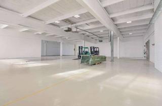 Gewerbeimmobilie mieten in 42659 Solingen-Mitte, Attraktive, lichtdurchflutete Gewerbehalle mit ca. 660 m² Fläche