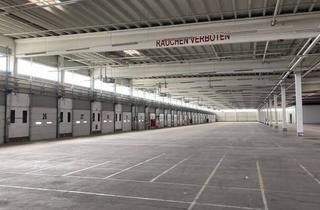Gewerbeimmobilie mieten in 06420 Könnern, 5.000,00 m² -- Lagerfläche mit mehr als 20 Rampen, mit-oder ohne gekühlten Teilbereich