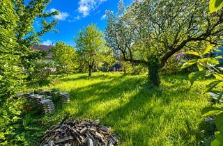 Grundstück zu kaufen in 65719 Hofheim am Taunus, Exklusives Baugrundstück in Toplage von Hofheim Marxheim – Vielseitige Bebauungsmöglichkeiten!
